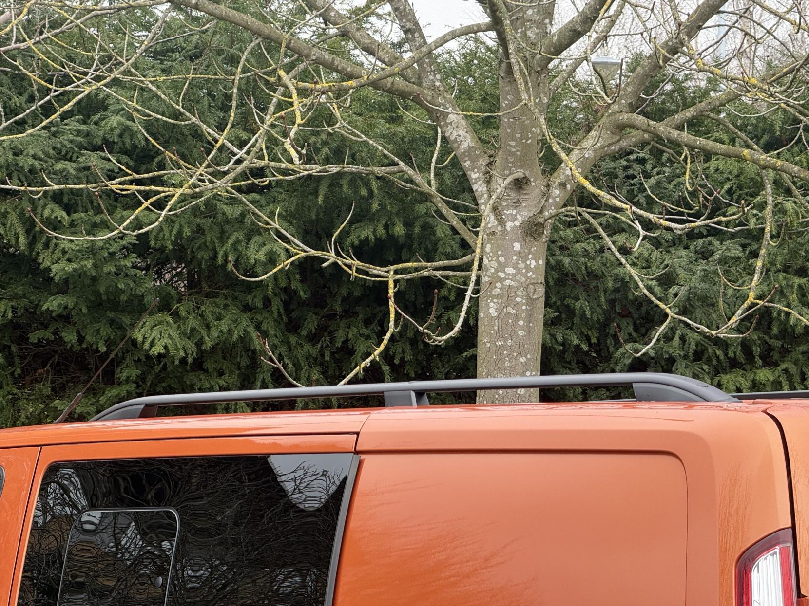 Ford Transit Custom 2.0 320 EcoBlue Limited Crew Van Double Cab 5dr Diesel Manual L1 H1 Euro 6 (s/s) (130 ps)